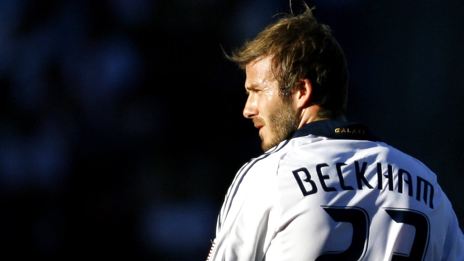 仰泳赛场南非男将稳中有升，仰泳2017